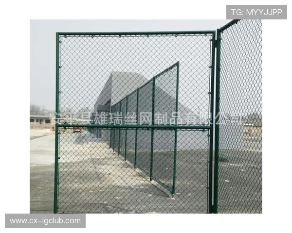 全面解析以足球围网工艺流程为核心的生产安装管理实用要点指南集