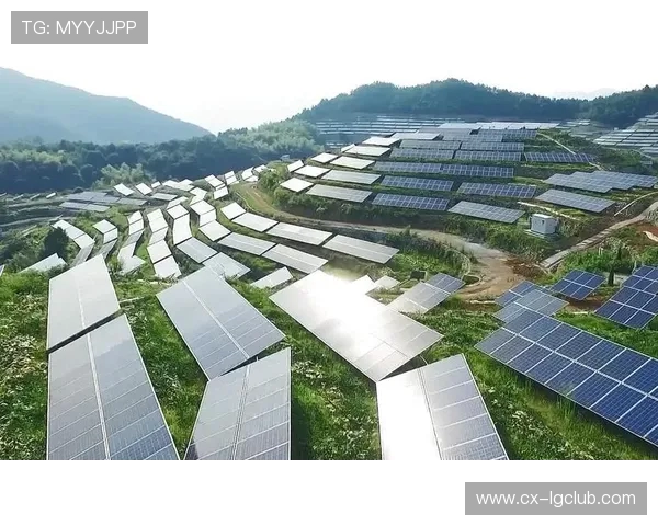 围绕足球场上逆天产业链崛起与未来多元化发展趋势全景式深度解析 围绕足球场上逆天产业链崛起与未来多元化发展趋势全景式深度解析